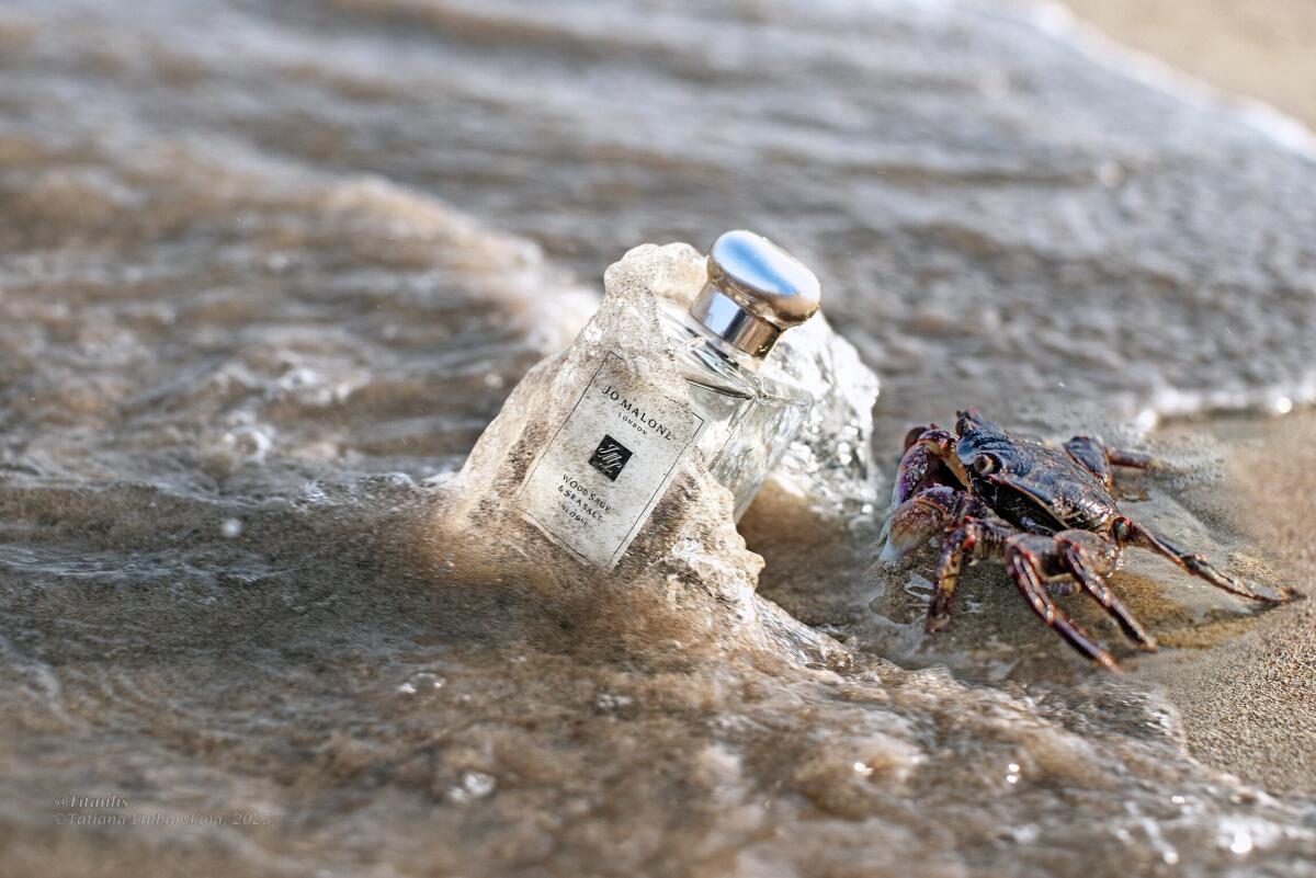 Jo Malone Wood Sage & Sea Salt - Luxury Lifestyle Travel recensione e prezzo